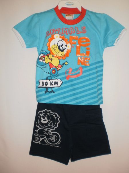 Conjunto camiseta e shorts